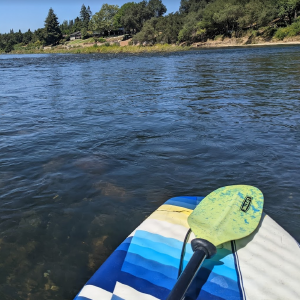 I can thoroughly recommend going down on a SUP. It's very easy to jump in the water and very easy to maneuver.